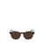 Lacoste Lacoste Sunglasses Brown