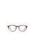 ZEGNA Zegna Eyeglasses Brown