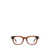 ZEGNA Zegna Eyeglasses SHINY LIGHT BROWN