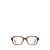 ZEGNA Zegna Eyeglasses SHINY LIGHT BROWN