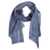 ETRO Etro Scarf BLUE