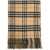 Burberry Reversible Check Cashmere Scarf SAND/LOCH