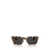 Persol Persol Sunglasses BROWN BEIGE TORTOISE