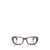 Persol Persol Eyeglasses Brown