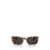 Persol Persol Sunglasses BROWN BEIGE TORTOISE