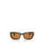 Persol Persol Sunglasses TABACCO VIRGINIA