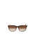 Lacoste Lacoste Sunglasses Brown