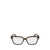 Lacoste Lacoste Eyeglasses BROWN