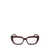 Lacoste Lacoste Eyeglasses TRANSPARENT BURGUNDY