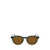 Lacoste Lacoste Sunglasses TRANSPARENT GREEN