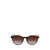 Calvin Klein Calvin Klein Sunglasses BROWN HAVANA