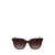 Calvin Klein Calvin Klein Sunglasses BROWN