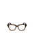 Paul Smith Paul Smith Eyeglasses TRANSPARENT KHAKI BROWN