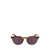 Paul Smith Paul Smith Sunglasses STRIPED CARAMEL