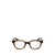 Paul Smith Paul Smith Eyeglasses MULTIBROWN