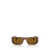 Persol Persol Sunglasses BROWN / BRIGHT YELLOW