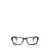 Persol Persol Eyeglasses Brown