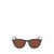 Lacoste Lacoste Sunglasses BROWN