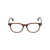 WEB EYEWEAR Web Eyewear Sunglasses DARK BROWN LUC