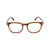 Tom Ford Tom Ford Eyeglasses Brown