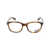 Persol Persol Eyeglasses Brown