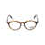 Persol Persol Eyeglasses Brown