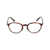 Persol Persol Eyeglasses Brown