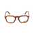 Persol Persol Eyeglasses Brown