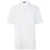 Herno Herno Crepe Polo Clothing WHITE