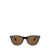 Ray-Ban Ray-Ban Sunglasses TORTOISE