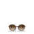 Ray-Ban Ray-Ban Sunglasses Brown