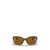 Ray-Ban Ray-Ban Sunglasses Brown