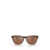 Oakley Oakley Sunglasses MATTE TORTOISE