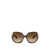 Ray-Ban Ray-Ban Sunglasses Brown