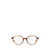 Ray-Ban Ray-Ban Eyeglasses Multicolor