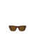 Persol Persol Sunglasses Brown