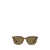 Ray-Ban Ray-Ban Sunglasses Brown