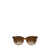 Ray-Ban Ray-Ban Sunglasses Brown