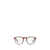 Persol Persol Eyeglasses Brown