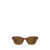 Ray-Ban Ray-Ban Sunglasses Brown