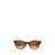 Ray-Ban Ray-Ban Sunglasses Multicolor