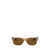 Ray-Ban Ray-Ban Sunglasses Brown