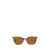 Ray-Ban Ray-Ban Sunglasses HAVANA BROWN GREY