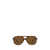 Ray-Ban Ray-Ban Sunglasses Brown