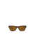 Ray-Ban Ray-Ban Sunglasses Brown