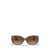 Ray-Ban Ray-Ban Sunglasses TRANSPARENT DARK BROWN