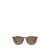 Ray-Ban Ray-Ban Sunglasses TRANSPARENT DARK BROWN