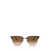 Ray-Ban Ray-Ban Sunglasses Brown