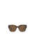 Versace Versace Eyewear Sunglasses Brown