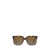 Vogue Eyewear Vogue Eyewear Sunglasses Brown